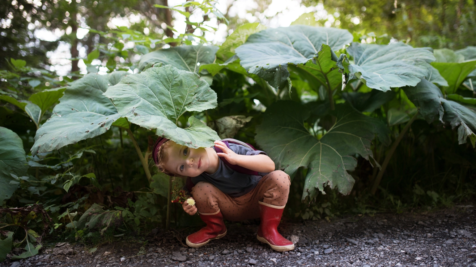 Gettyimages 1287863457 Gettyimages 1287863457