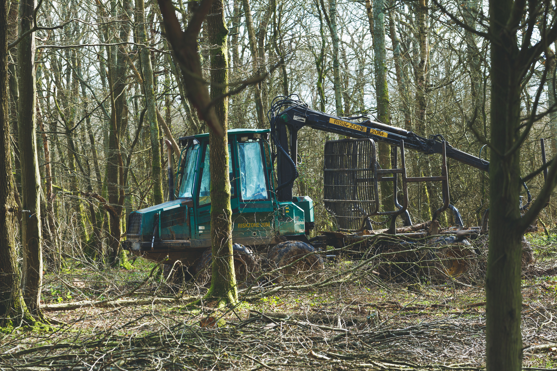 A dark green forestry machine. The surrounding area is densely populated with trees, and there are branches and debris on the ground.