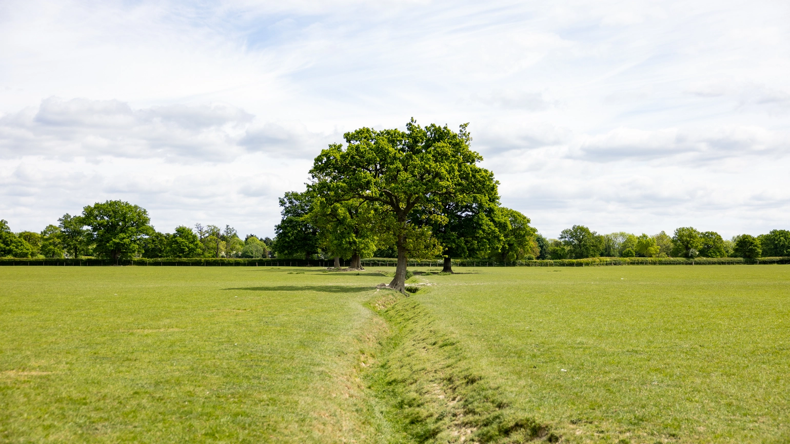 Our Purpose Our Purpose