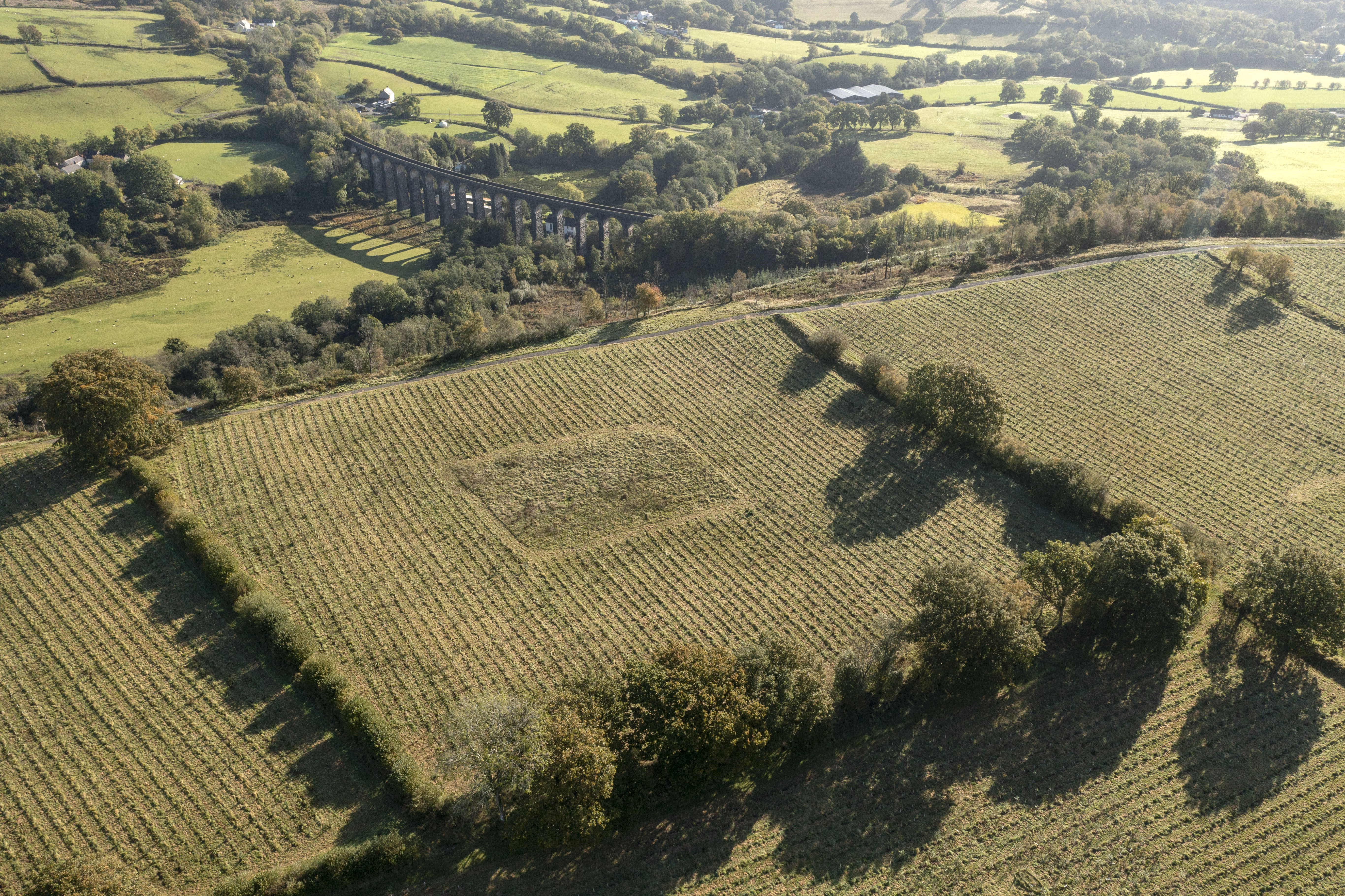 The Carbon Community arial view of the science plots 