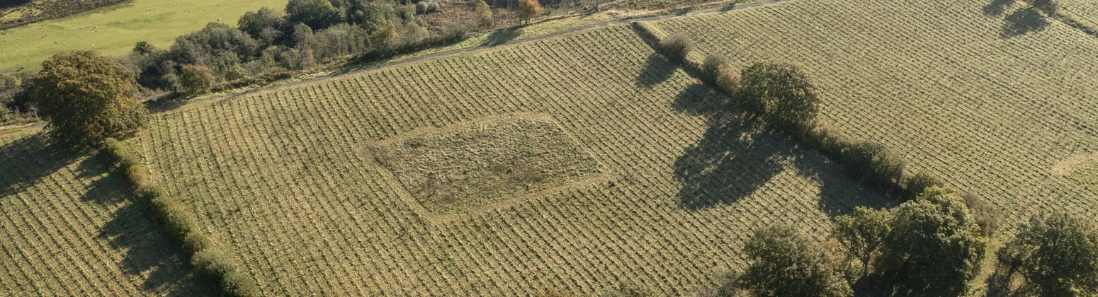 The Carbon Community arial view of the science plots The Carbon Community arial view of the science plots
