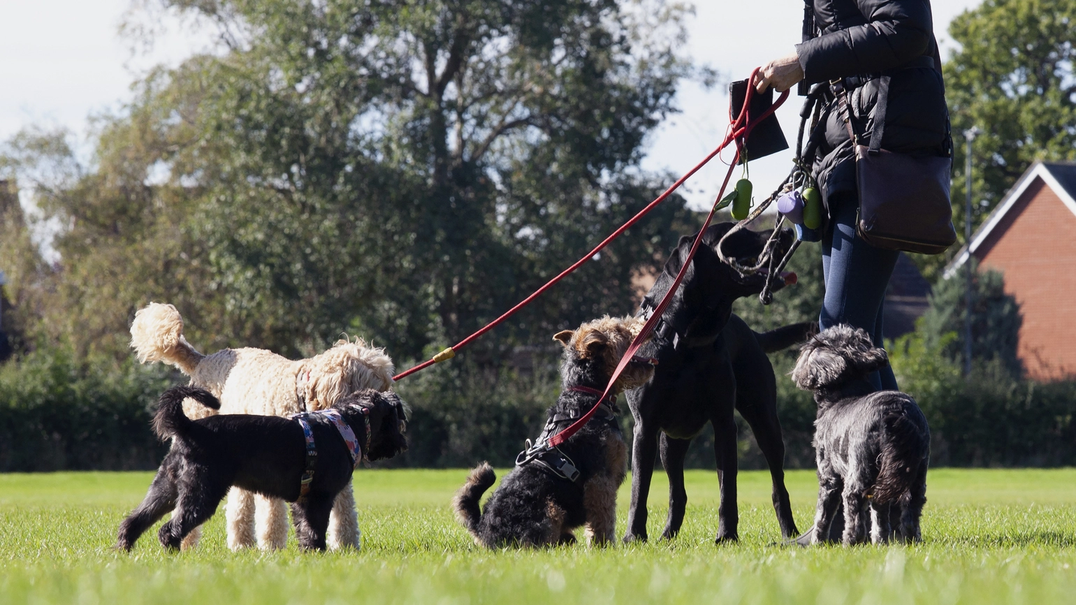 Gettyimages 1346050863 Gettyimages 1346050863