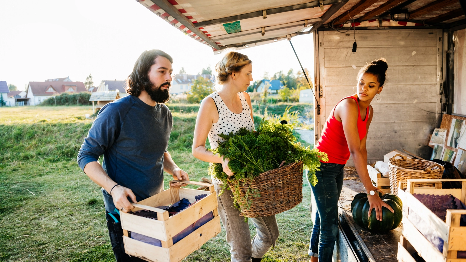 Two female and one male farmer stocking vegetables in their van Two female and one male farmer stocking vegetables in their van