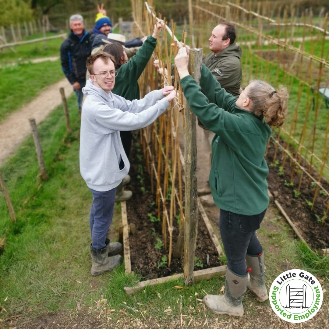 Comunity group working on a gardening project