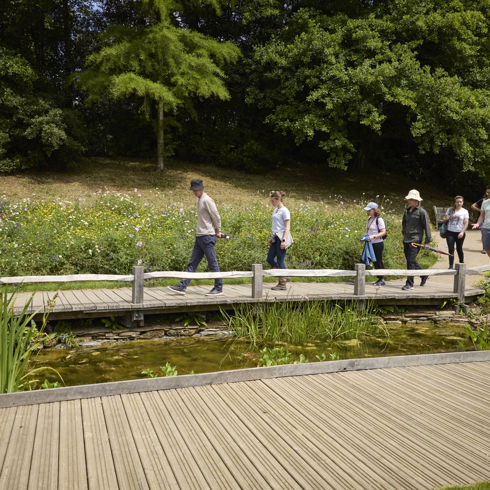 A group of people walking on a wooden pathway through a lush green park, crossing over a small pond with plants, surrounded by trees and bushes. A group of people walking on a wooden pathway through a lush green park, crossing over a small pond with plants, surrounded by trees and bushes.